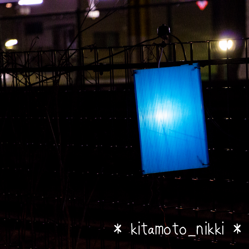 IMG_3015-kitamoto-yumeakari