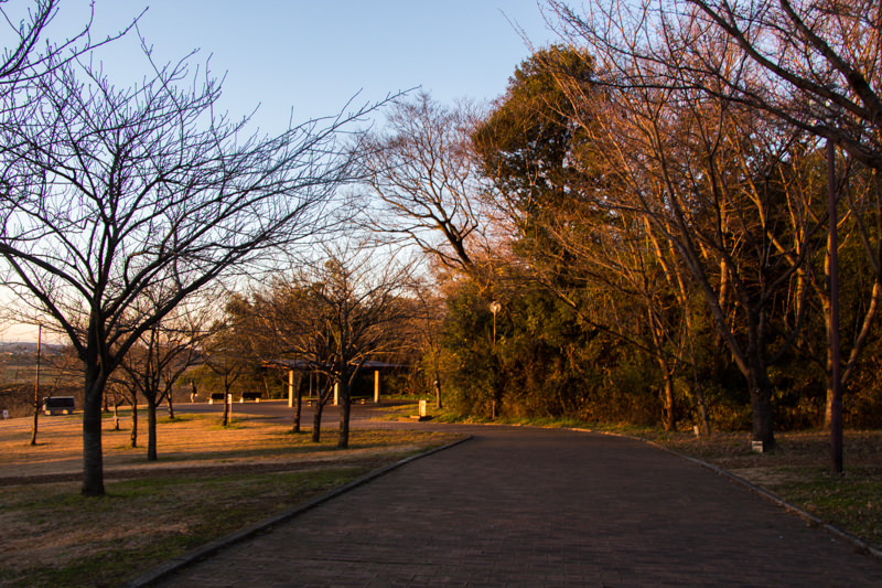 IMG_6526-takao-sakura-park